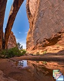 Negro bill canyon